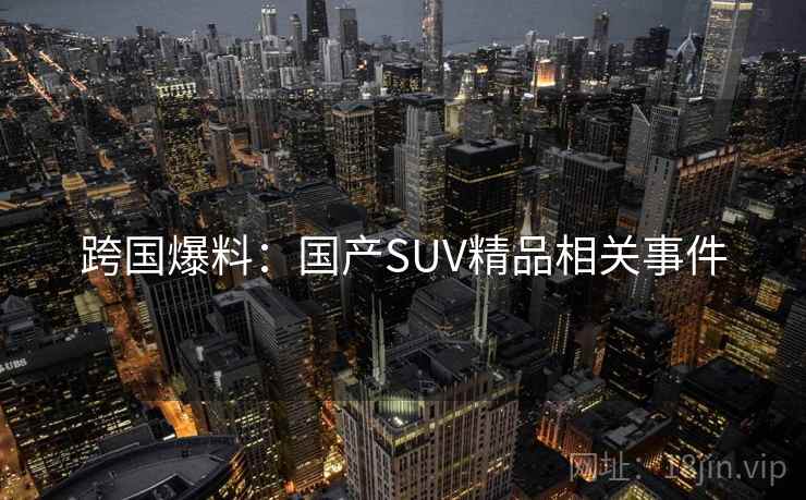 跨国爆料：国产SUV精品相关事件